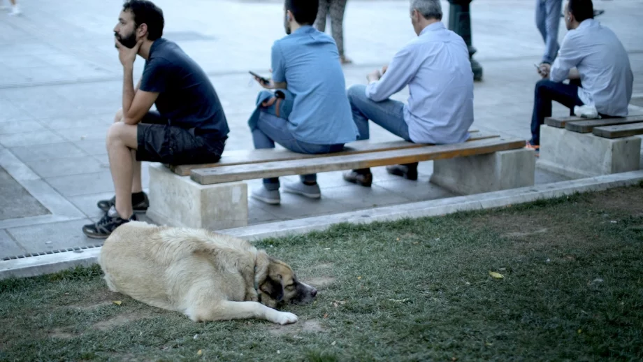 Вдигането на осигуровките ще "вкара" хората в сивия сектор 