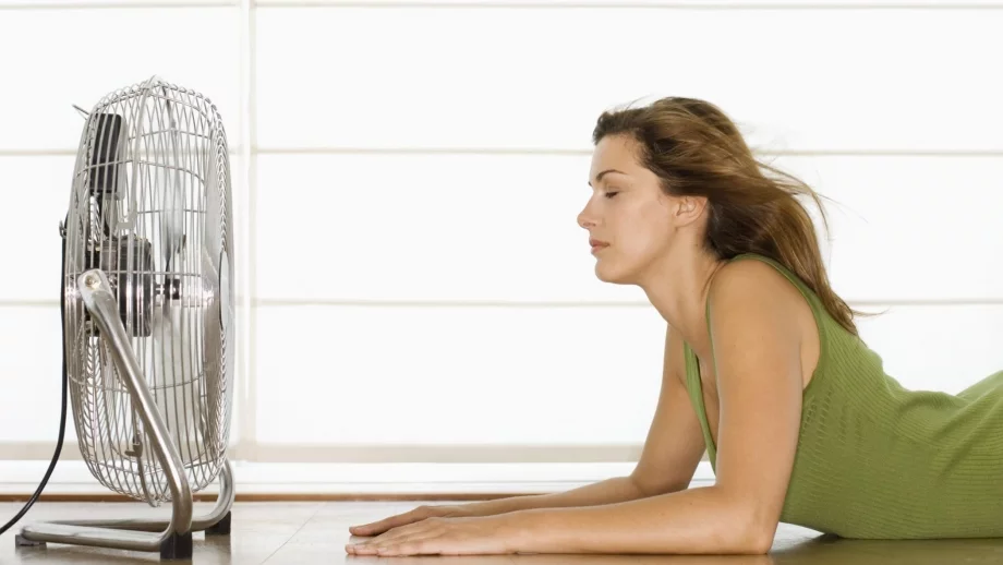 Работодатели не осигуряват подходящи условия на труд в жегите