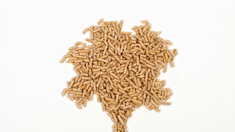 Бизнесът се опасява от злоупотреби при изкупуването на биомаса за ток