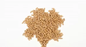 2015/07/22/0304157001437568629