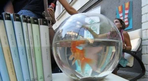 "София диша” отново променя лятото в града 