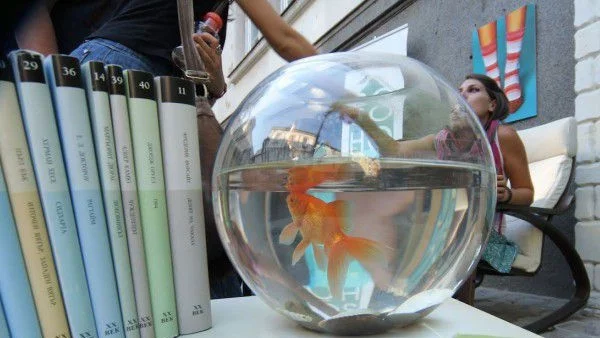 "София диша” отново променя лятото в града 