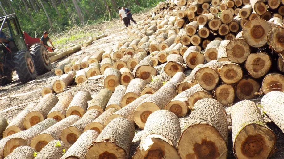 Над 200 000 домакинства получили държавна помощ за отопление 