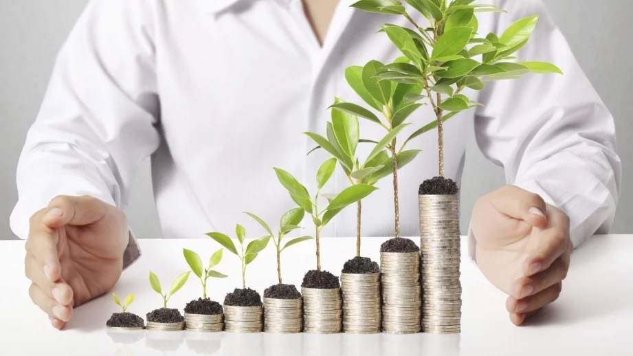 6 неща, за които успелите хора не прахосват парите си