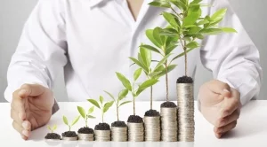 2015/08/01/0447649001438423890