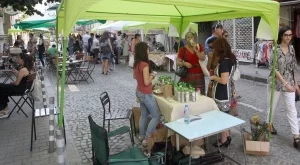 Започва София Диша