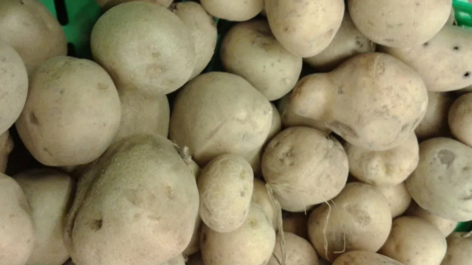 Цената на картофите на едро се покачила с 25% за година