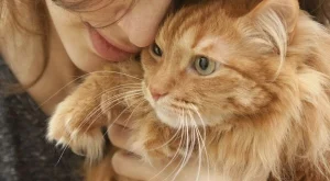 Животните, които могат да ни лекуват