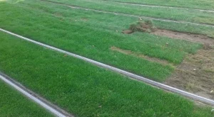 Трамвай Зеление