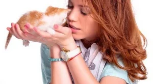 Профилактика за здрави котки, спокойни стопани и по-малко разходи - 2 част