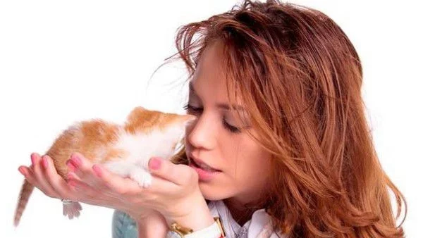 Профилактика за здрави котки, спокойни стопани и по-малко разходи - 2 част