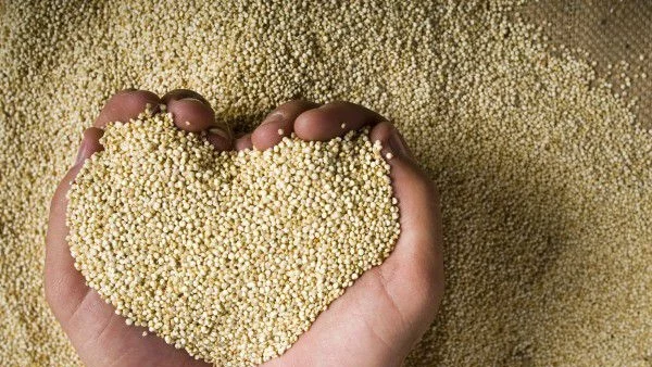 Ползи за здравето от яденето на киноа