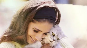 7 причини да си вземете котка