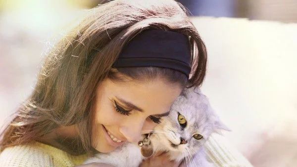 7 причини да си вземете котка