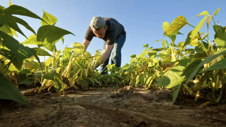 По-малко пари за "зелени" плащания към фермерите