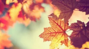 Твоят личен хороскоп за първия есенен ден 