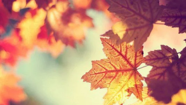 Твоят личен хороскоп за първия есенен ден 