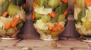 Лесна туршия без варене