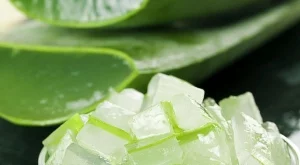 По-красива с алое вера - 4 идеи