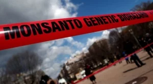 Monsanto отказа на Bayer... засега 