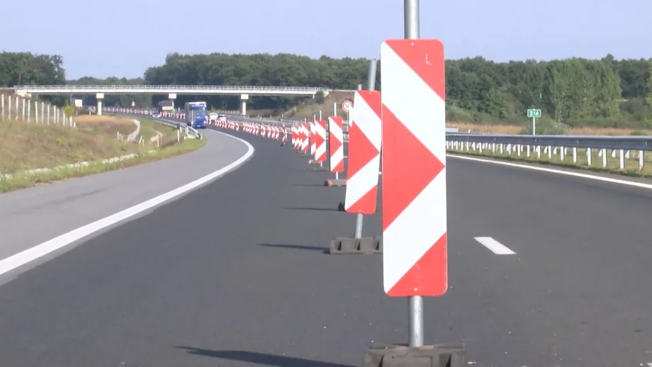 Полицаи: Дърветата около магистралите трябва да бъдат изсечени