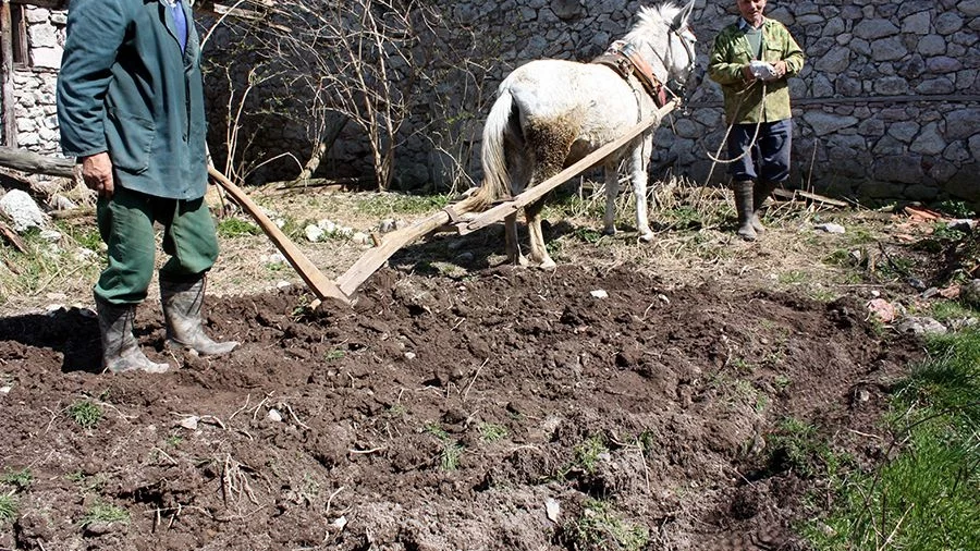 Асоциацията на българските села иска да не се облагат с данък някои видове земя