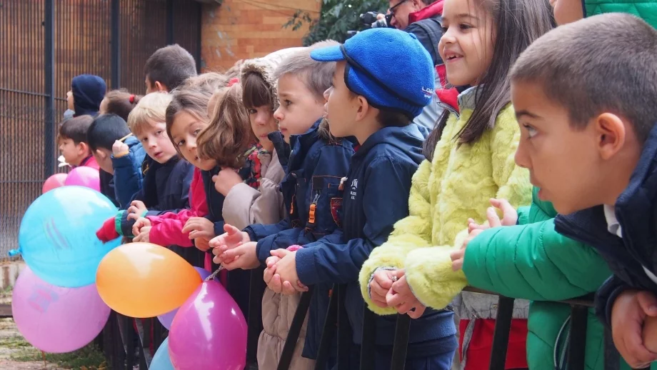 Детските надбавки - мизерия за всички 