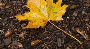 Очаква ни студена и облачна сряда 