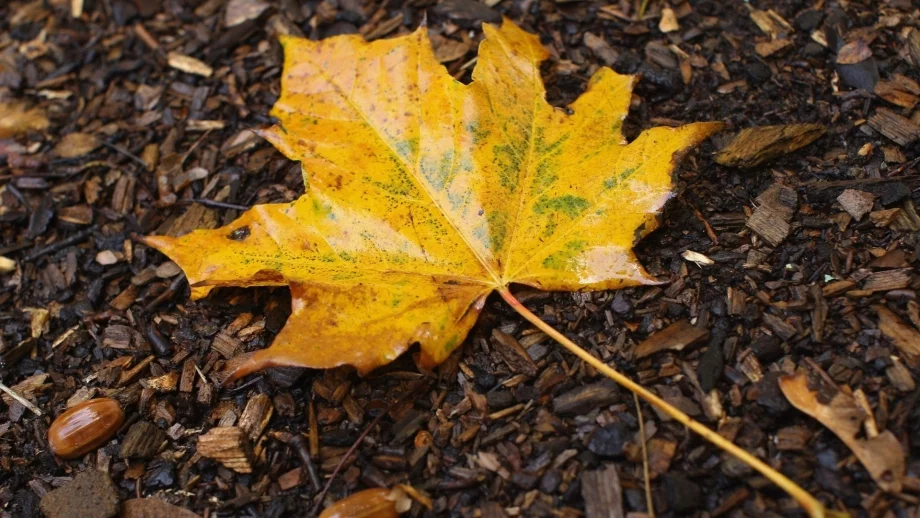 Очаква ни студена и облачна сряда 