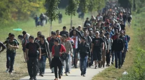 2015/10/19/0164220001445247418