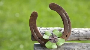 Забавни народни мъдрости за работата, парите и още нещо