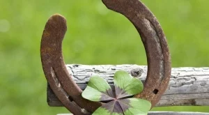 5 неща, носещи щастие в дома