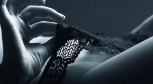 Четирите прелъстяващи тайни на женското бельо