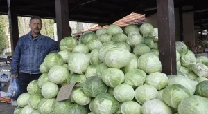 Цената на зелето с най-голям ръст 