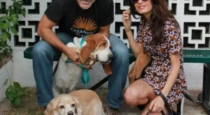 Джордж Клуни си осинови още едно куче