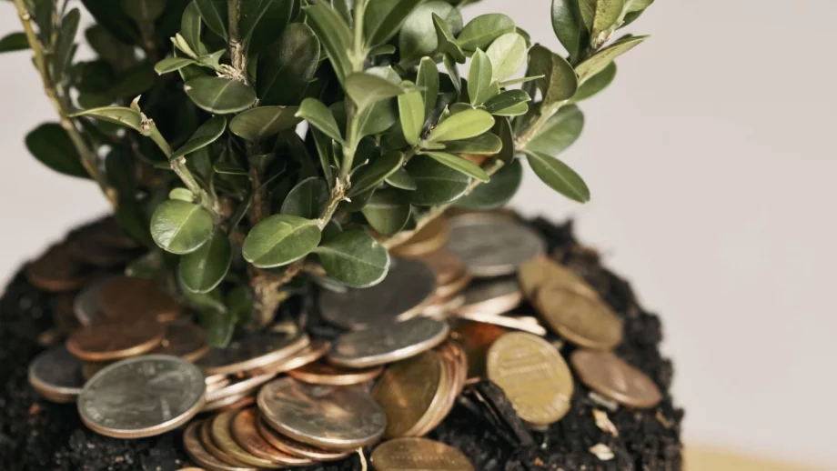 Паричните затруднения причиняват физическа болка 