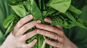 Зелени листни зеленчуци за здрави черва и остър ум