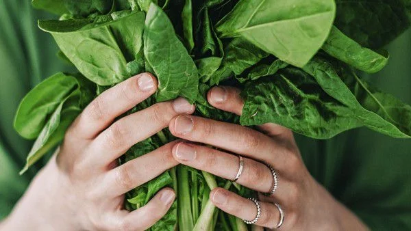 Зелени листни зеленчуци за здрави черва и остър ум