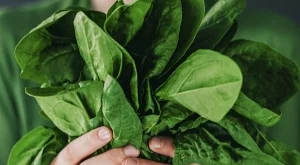 5 храни за здрава вагина