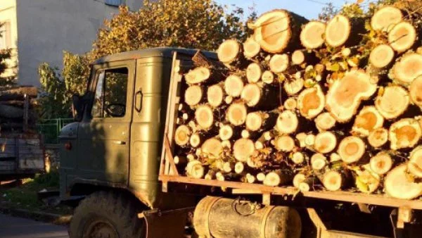 С опълчение в пловдивско село се готвят да пазят гората