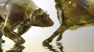 2015/11/06/0232363001446813807