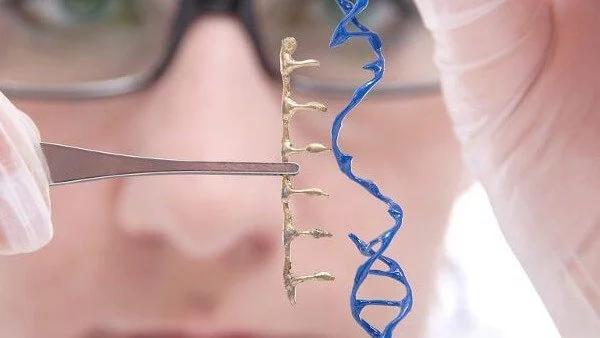 Ген, свързан с деменцията, променя мозъка още в детството