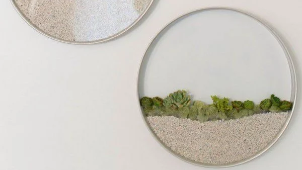 Вертикални градини у дома