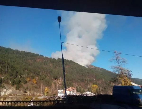 Огромен горски пожар се разраства в Златоградско