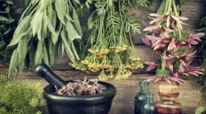 Да кажем "Спокойно, гърло!"