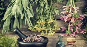 Биостимулатори от народния лечител Петър Димков