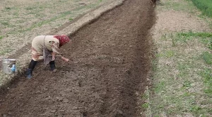 ДФЗ приема заявления по схемата за контрол на вредителите 