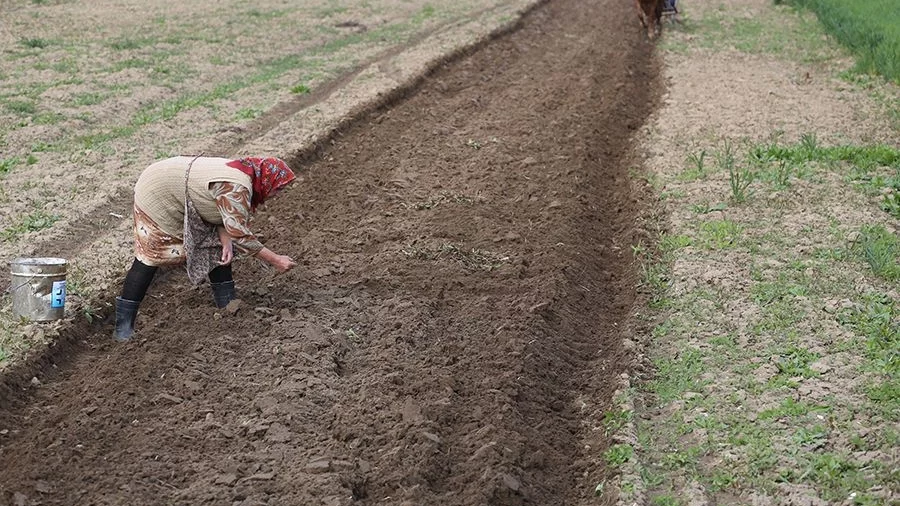 ДФЗ приема заявления по схемата за контрол на вредителите 