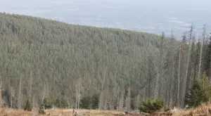 Окончателно: Ски влек „Меча поляна“ на Витоша е незаконен