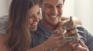 12 ползи от това да имаш коте